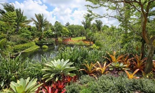 Naples Botanical Garden