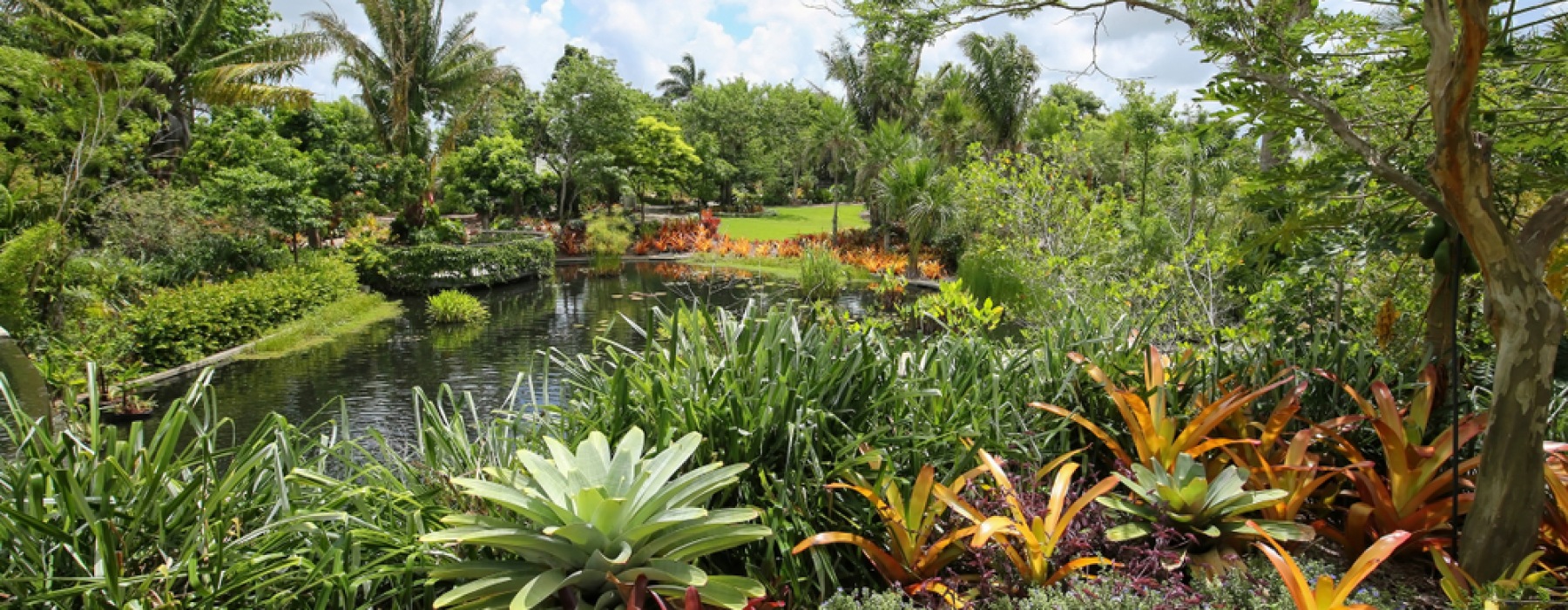 Naples Botanical Garden 