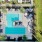 overhead shot of swimming pool